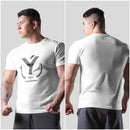 44269547028714|44269547061482|44269547094250|44269547127018|44269547159786|44269547192554