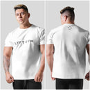 44269545062634|44269545095402|44269545128170|44269545160938|44269545193706|44269545226474